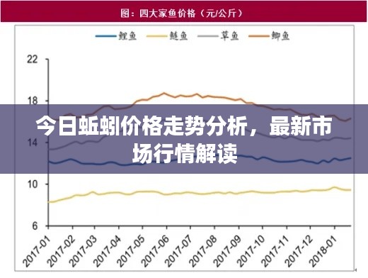 今日蚯蚓价格走势分析，最新市场行情解读