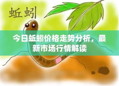 今日蚯蚓价格走势分析,最新市场行情解读