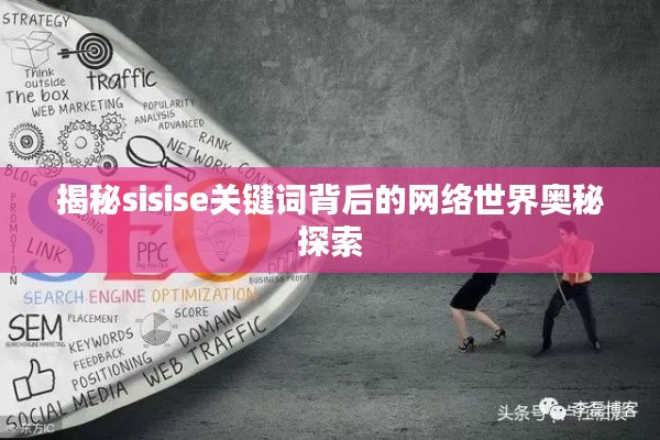 揭秘sisise关键词背后的网络世界奥秘探索