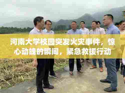 河南大学校园突发火灾事件,惊心动魄的瞬间,紧急救援行动启动!