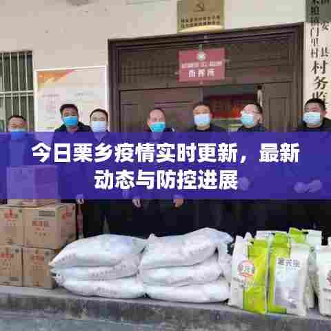 今日栗乡疫情实时更新,最新动态与防控进展