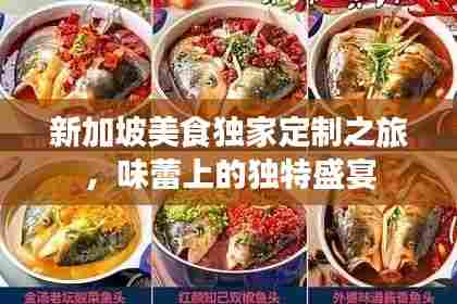 新加坡美食独家定制之旅，味蕾上的独特盛宴