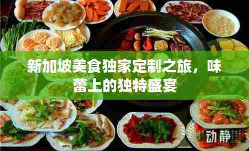 新加坡美食独家定制之旅,味蕾上的独特盛宴