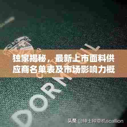 独家揭秘，最新上市面料供应商名单表及市场影响力概览