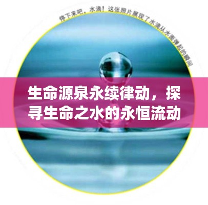 生命源泉永续律动，探寻生命之水的永恒流动