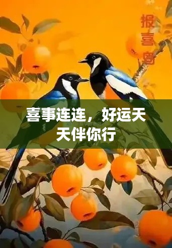 喜事连连，好运天天伴你行