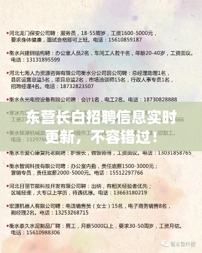 东营长白招聘信息实时更新,不容错过!