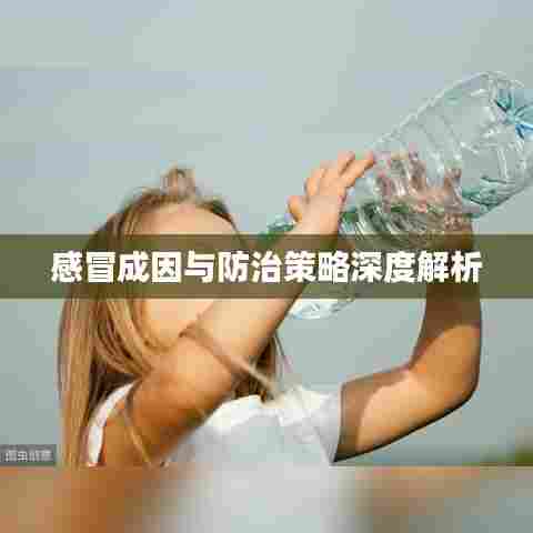 感冒成因与防治策略深度解析