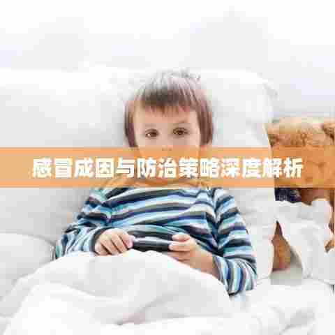 感冒成因与防治策略深度解析