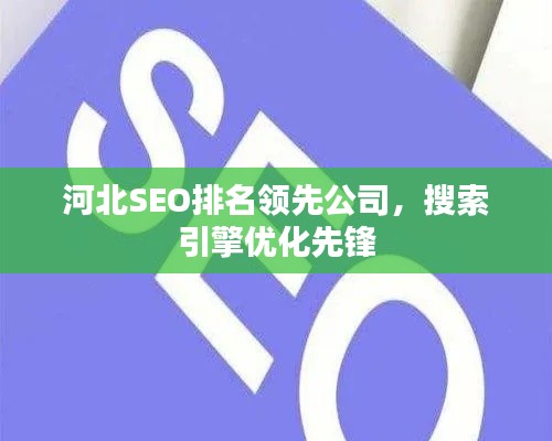 河北SEO排名领先公司，搜索引擎优化先锋