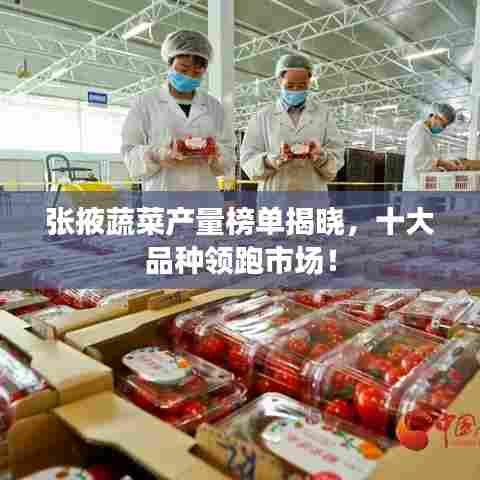 张掖蔬菜产量榜单揭晓，十大品种领跑市场！