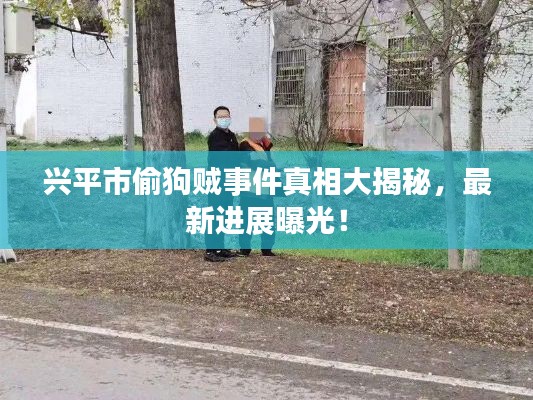 兴平市偷狗贼事件真相大揭秘,最新进展曝光!