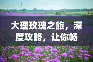 大理玫瑰之旅，深度攻略，让你畅游花海