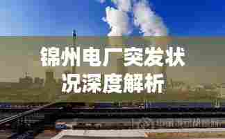 锦州电厂突发状况深度解析