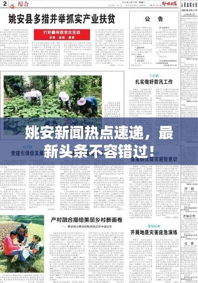 姚安新闻热点速递,最新头条不容错过!