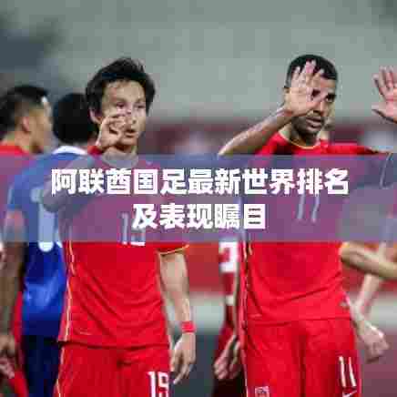 阿联酋国足最新世界排名及表现瞩目