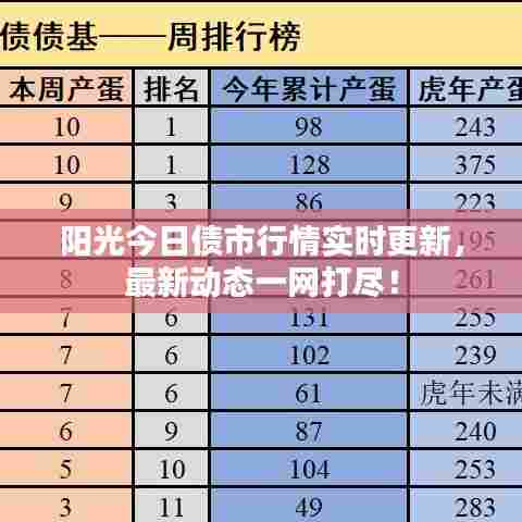 阳光今日债市行情实时更新，最新动态一网打尽！