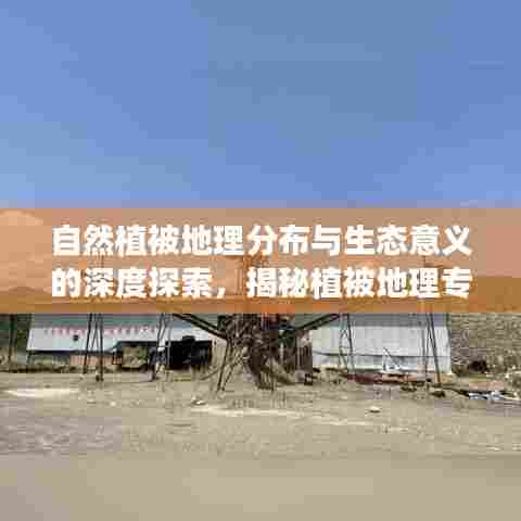 自然植被地理分布与生态意义的深度探索，揭秘植被地理专题的魅力