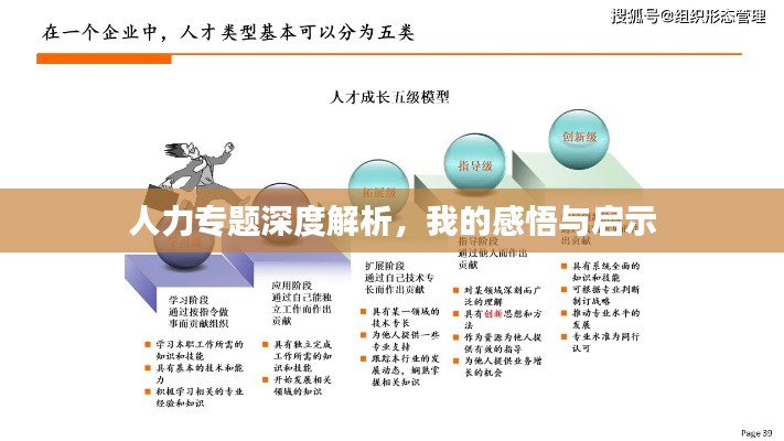 人力专题深度解析,我的感悟与启示