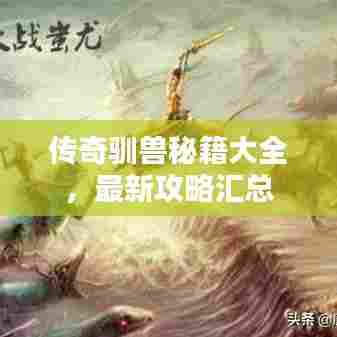 传奇驯兽秘籍大全,最新攻略汇总