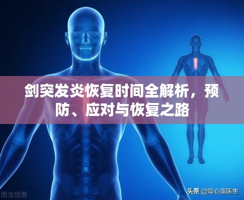 剑突发炎恢复时间全解析，预防、应对与恢复之路