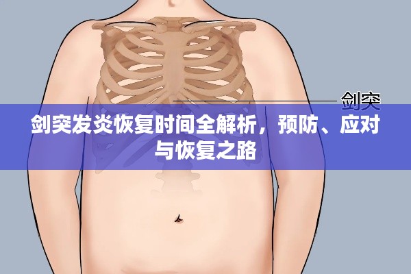剑突发炎恢复时间全解析,预防、应对与恢复之路
