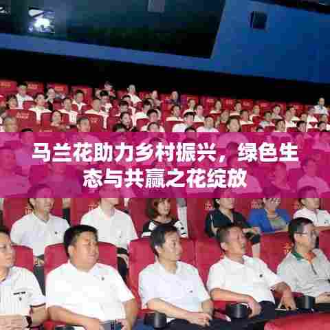 马兰花助力乡村振兴，绿色生态与共赢之花绽放