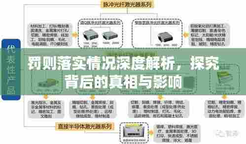罚则落实情况深度解析，探究背后的真相与影响