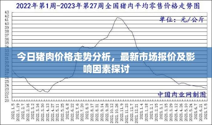 今日猪肉价格走势分析，最新市场报价及影响因素探讨