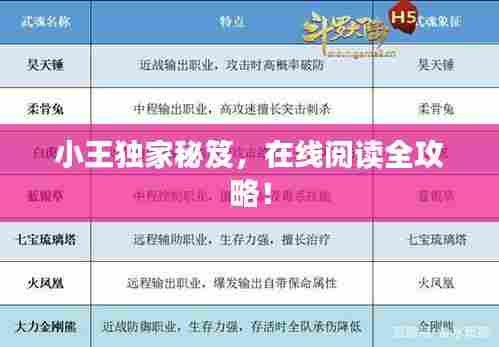 小王独家秘笈，在线阅读全攻略！