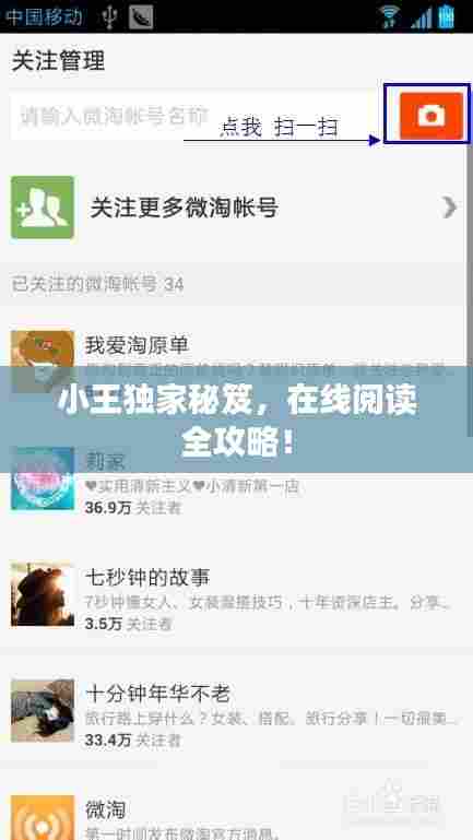 小王独家秘笈,在线阅读全攻略!