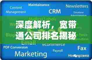深度解析，宽带通公司排名揭秘