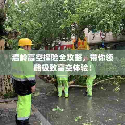 温岭高空探险全攻略,带你领略极致高空体验!