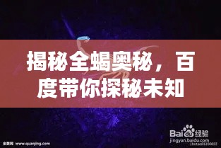 揭秘全蝎奥秘,百度带你探秘未知世界