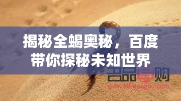 揭秘全蝎奥秘,百度带你探秘未知世界