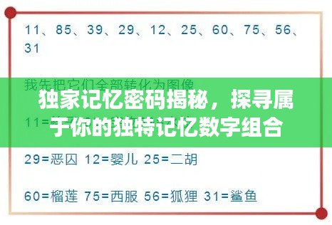 独家记忆密码揭秘，探寻属于你的独特记忆数字组合
