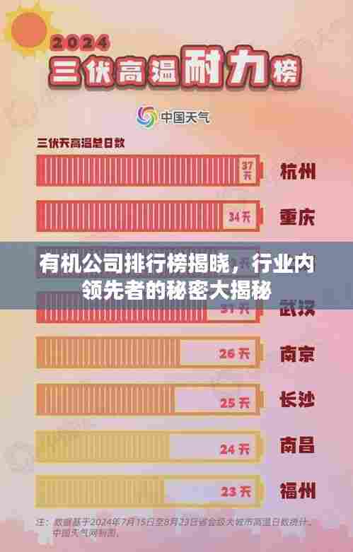 有机公司排行榜揭晓，行业内领先者的秘密大揭秘