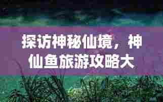 探访神秘仙境,神仙鱼旅游攻略大揭秘!