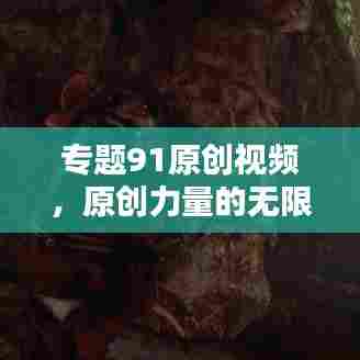 专题91原创视频，原创力量的无限探索与可能