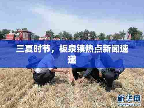 三夏时节，板泉镇热点新闻速递