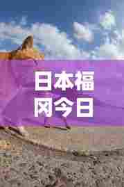 日本福冈今日最新动态速递