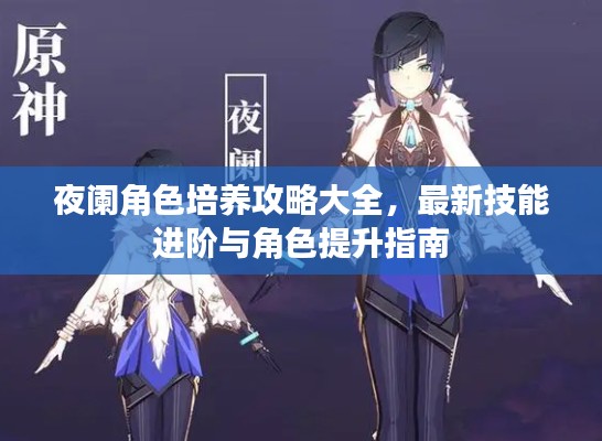 夜阑角色培养攻略大全,最新技能进阶与角色提升指南