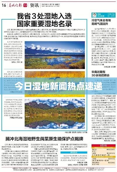 今日湿地新闻热点速递