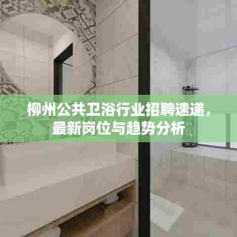 柳州公共卫浴行业招聘速递,最新岗位与趋势分析