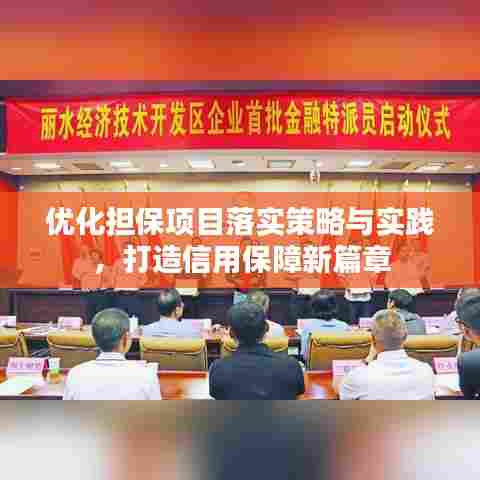 优化担保项目落实策略与实践,打造信用保障新篇章