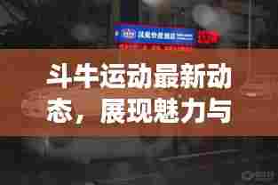 斗牛运动最新动态，展现魅力与激情的视频更新