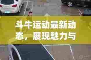 斗牛运动最新动态,展现魅力与激情的视频更新