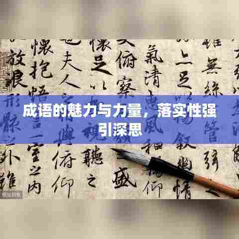 成语的魅力与力量，落实性强引深思