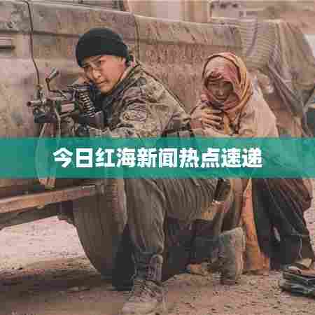 今日红海新闻热点速递