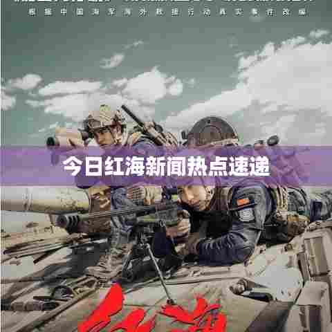 今日红海新闻热点速递